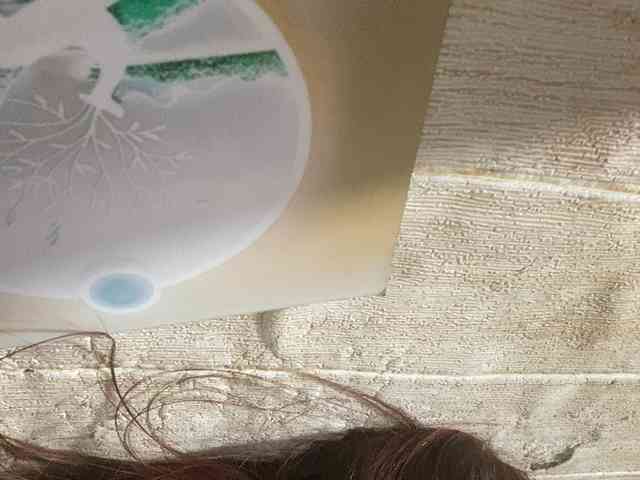 Rainie webcam