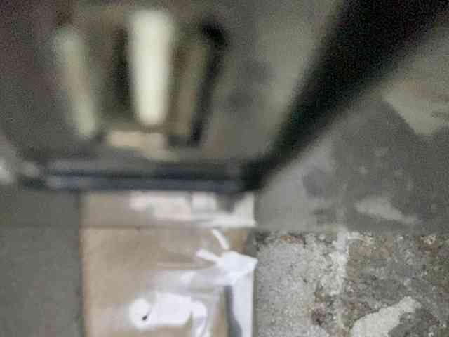 Rainie webcam
