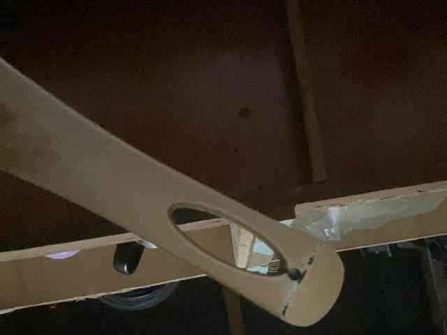 Rainie webcam