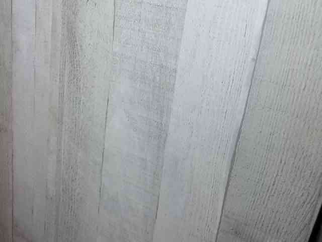 Rainie webcam