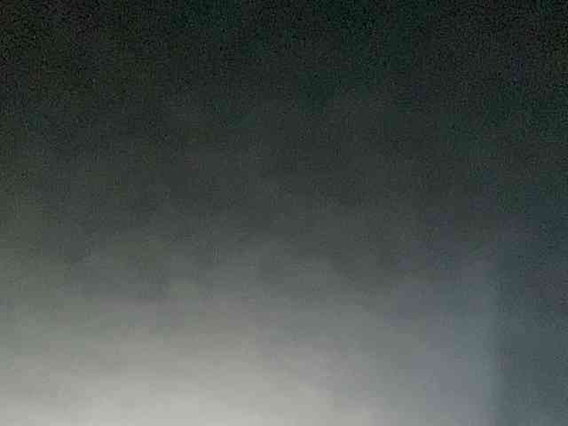 Rainie webcam