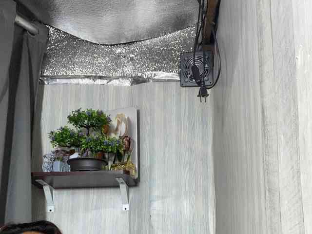 Rainie webcam
