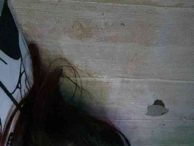 Rainie webcam