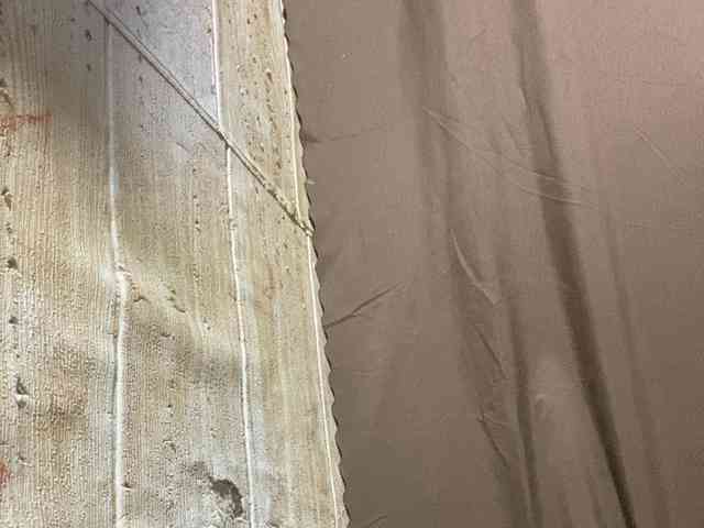 Rainie webcam