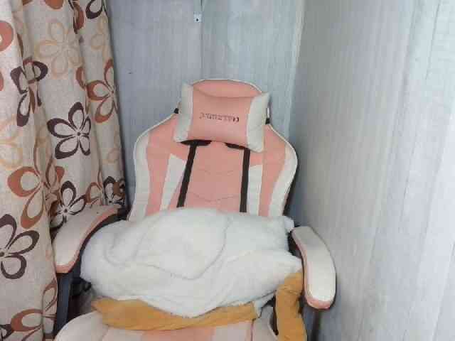 Rainie webcam