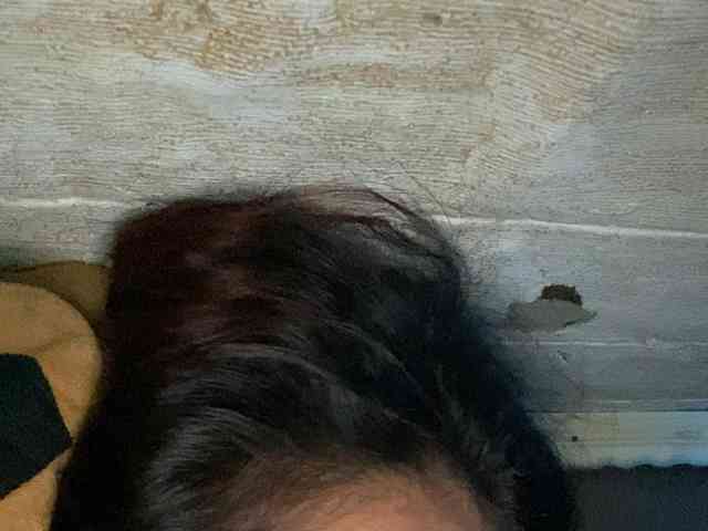 Rainie webcam