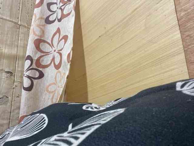 Rainie webcam