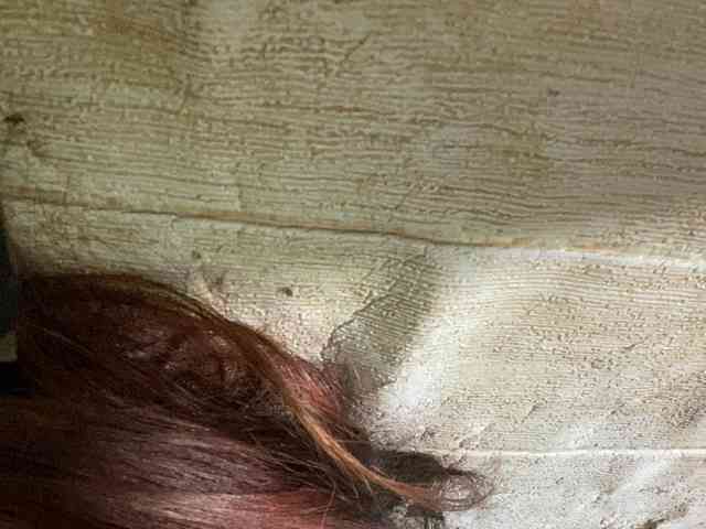 Rainie