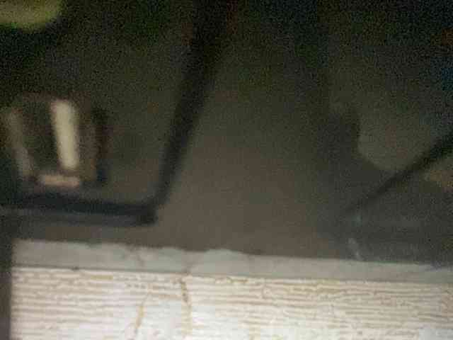 Rainie webcam