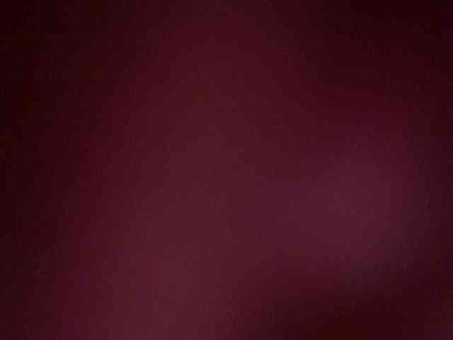 Rainie webcam