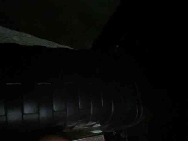 Rainie webcam