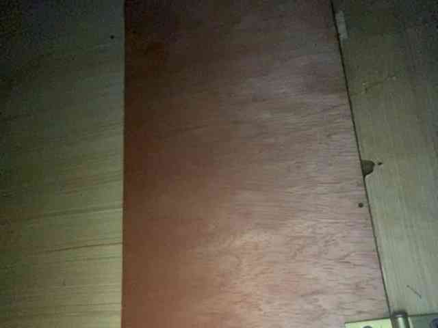 Rainie webcam