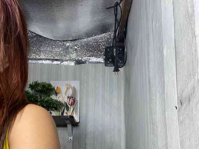 Rainie webcam