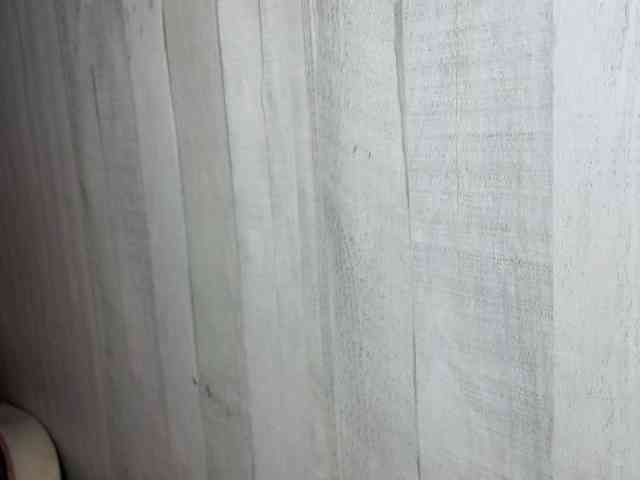 Rainie webcam