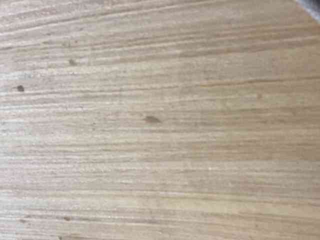 Rainie webcam