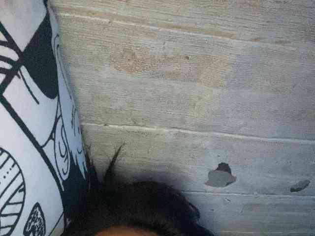 Rainie