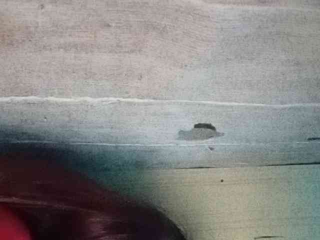 Rainie webcam