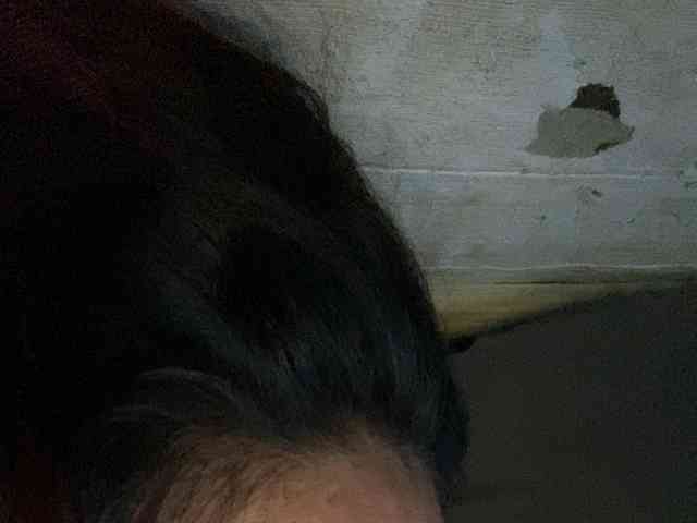 Rainie webcam