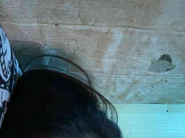 Rainie webcam