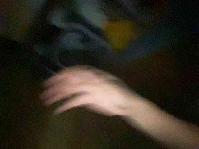 Rainie webcam