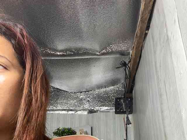 Rainie webcam