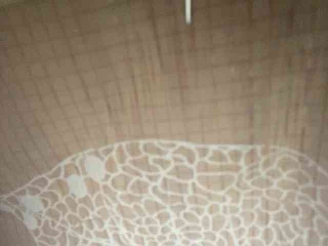 Rainie webcam