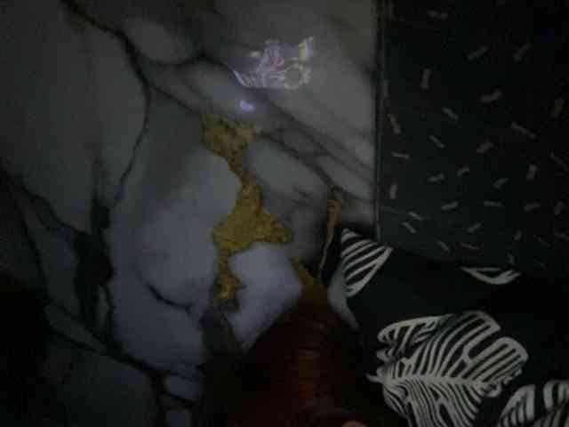 Rainie webcam