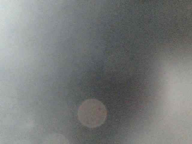 MoonFlowers webcam