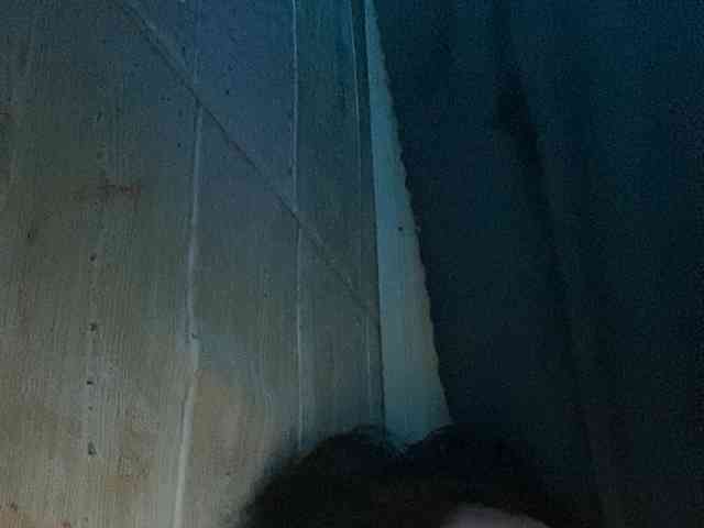 Rainie webcam