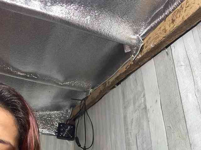 Rainie webcam