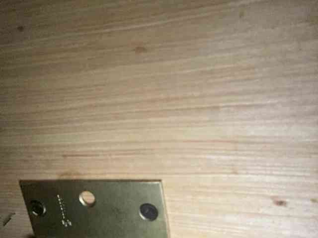 Rainie webcam