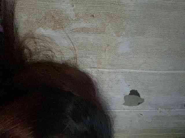 Rainie