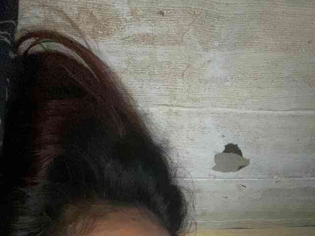Rainie webcam