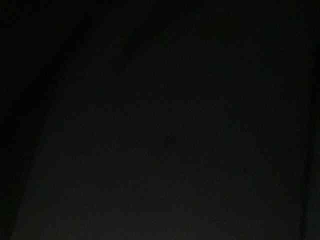 Rainie webcam