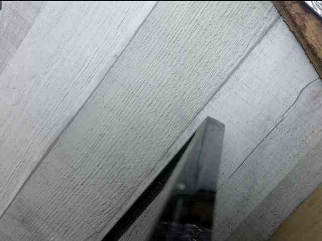 Rainie webcam