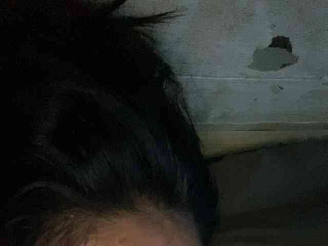 Rainie webcam