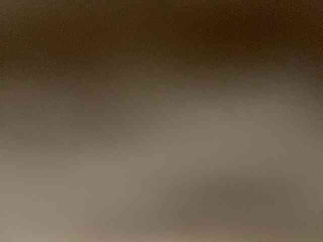 Rainie webcam