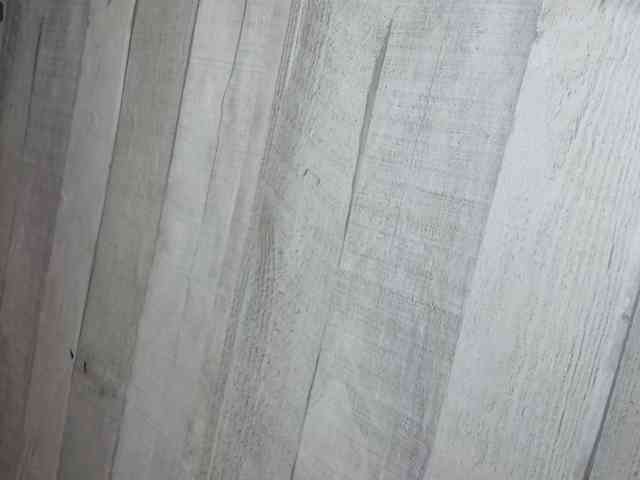 Rainie webcam