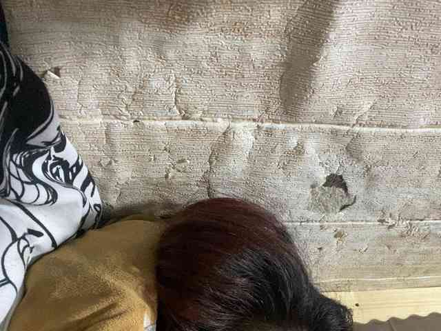 Rainie webcam