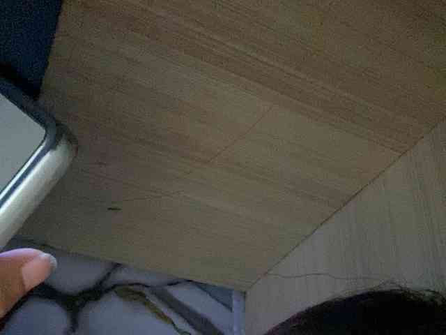 Rainie webcam
