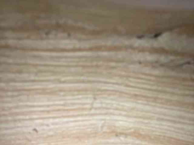 Rainie webcam