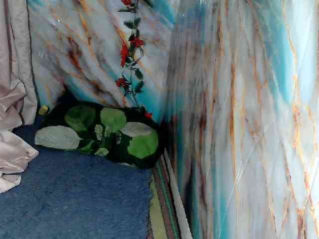 MoonFlowers webcam