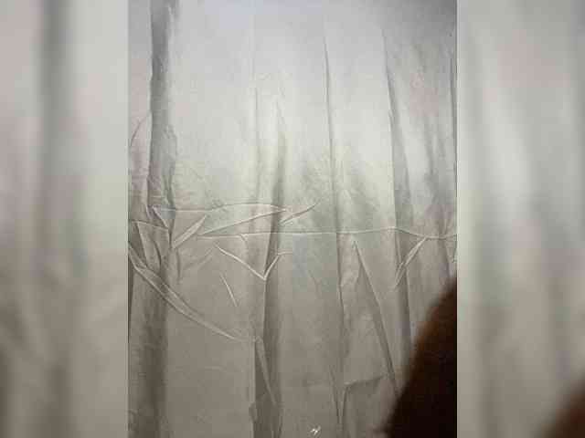 Rainie webcam