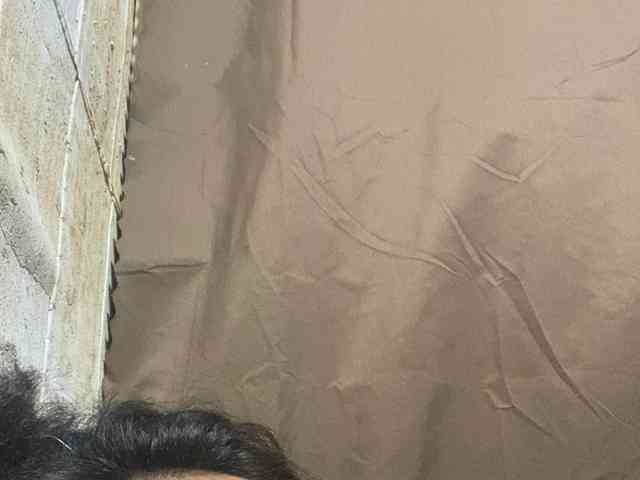 Rainie