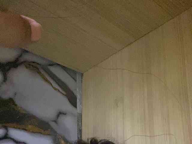 Rainie webcam