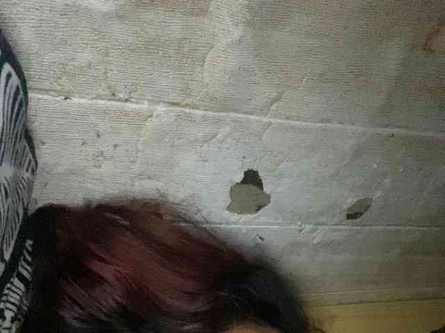 Rainie webcam