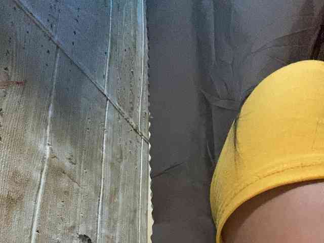 Rainie webcam