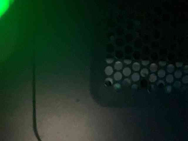 Rainie webcam