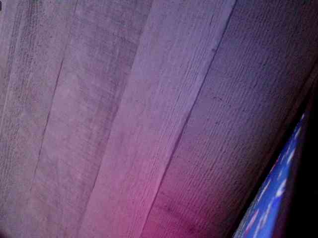 Rainie webcam