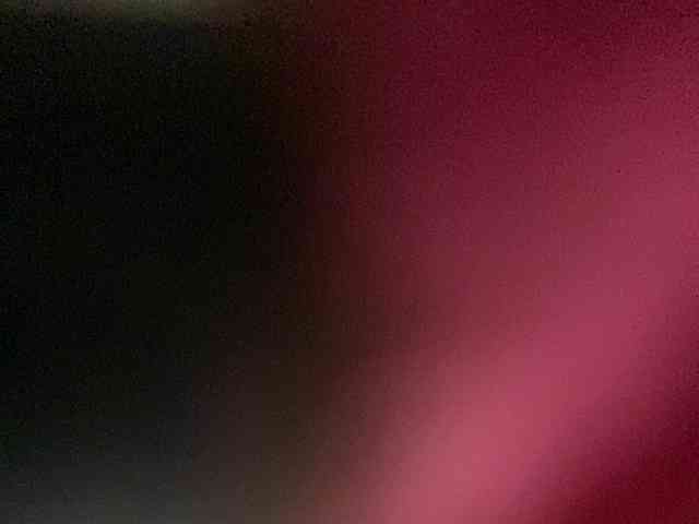 Rainie webcam